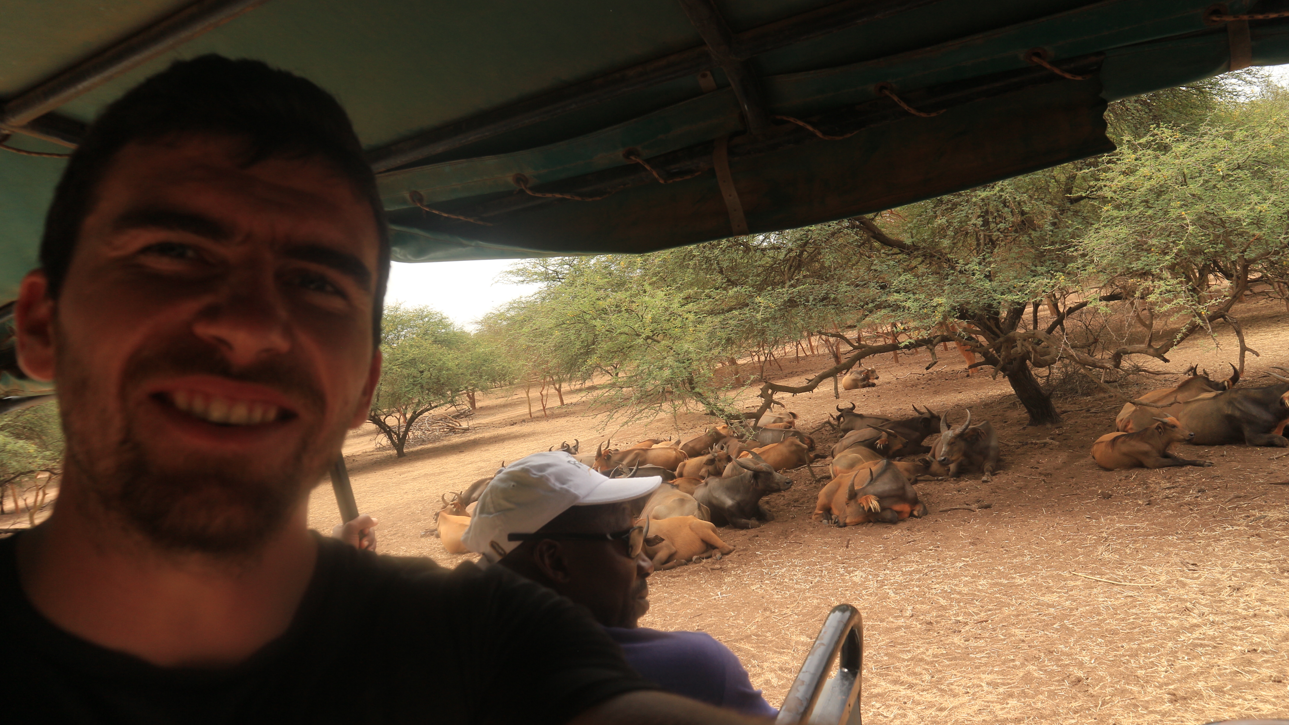 BANDIA RESERVE OF MBOUR